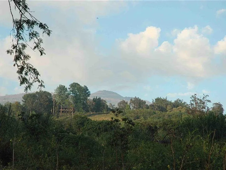 75-5343 Laaulu Rd — Photo 17