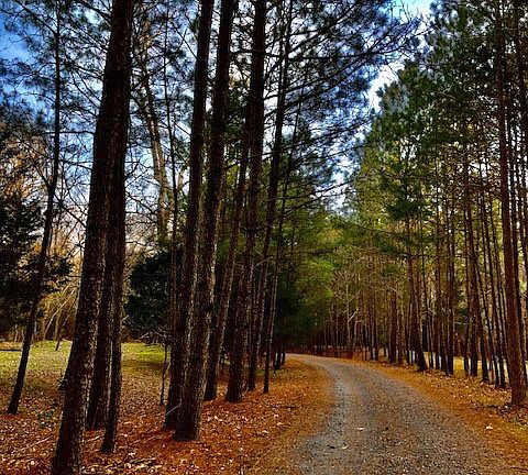 2nd image of 0 River Woods Dr
