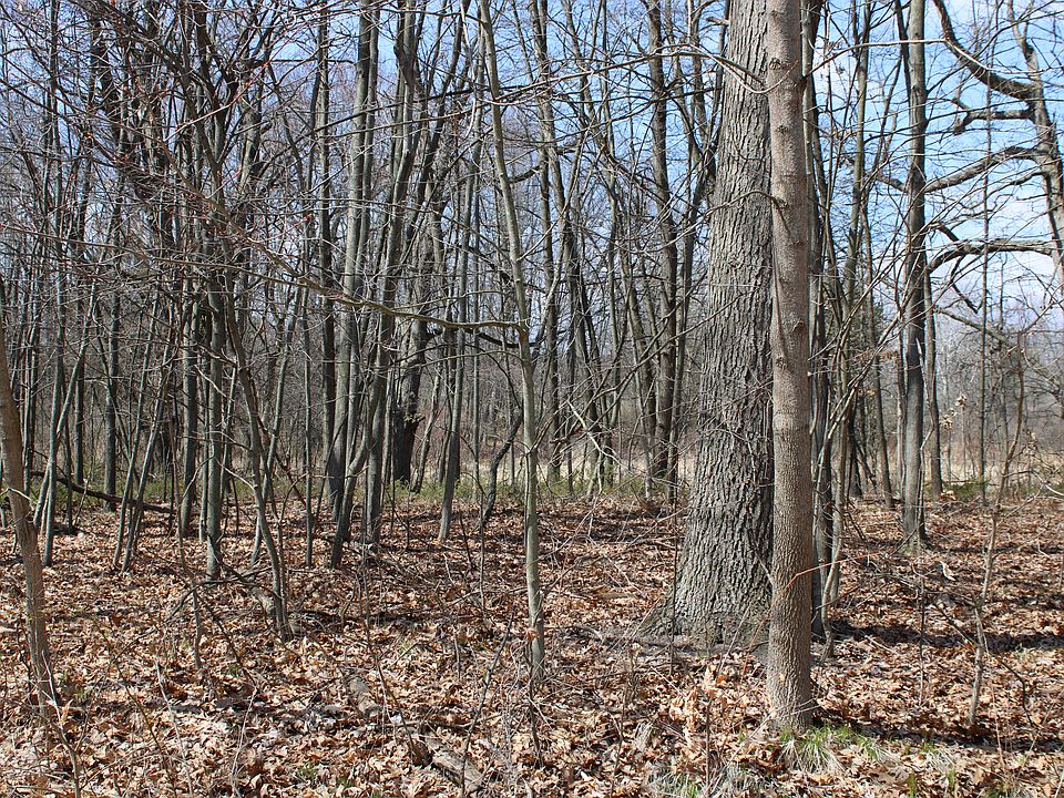 View from Peacock Road