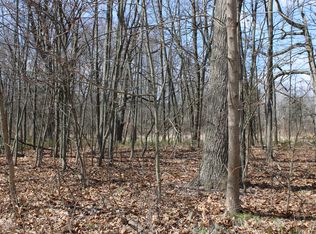 Peacock Rd, Haslett, MI 48840