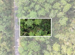 1043 E Toledo Dr, Citrus Springs, FL 34434