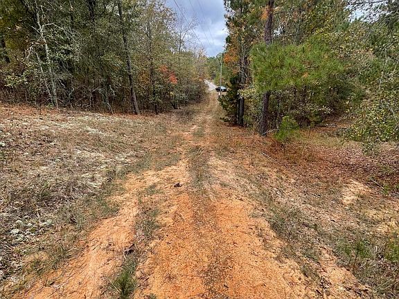2nd image of 621 Straw Bonnet Ln