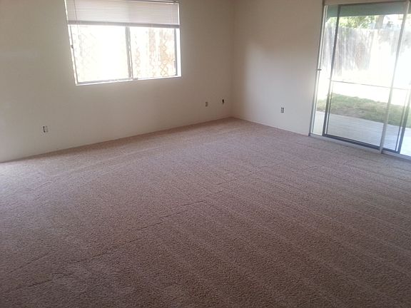 Brand New Carpet