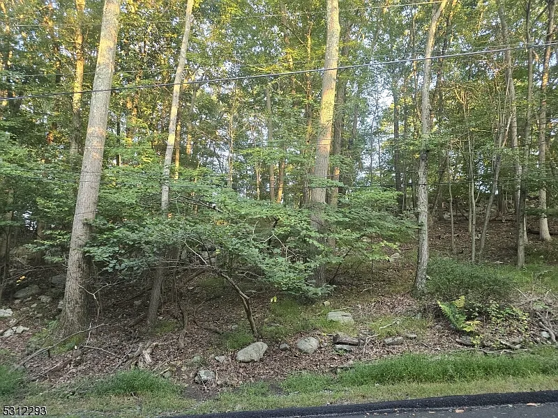 35 Mountain Trl photo 1