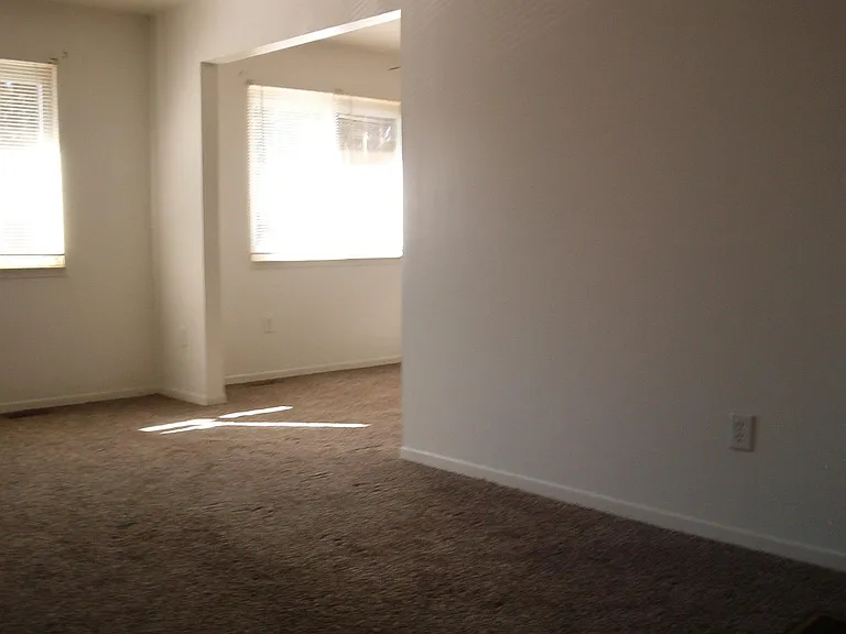 8464 Pineview Lake Ct — Photo 5