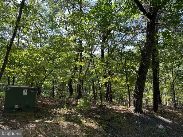 128 Ringneck Ct, Basye, VA 22810