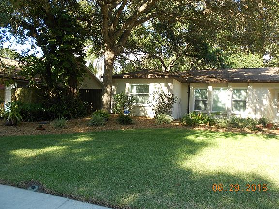 Laurel oaks