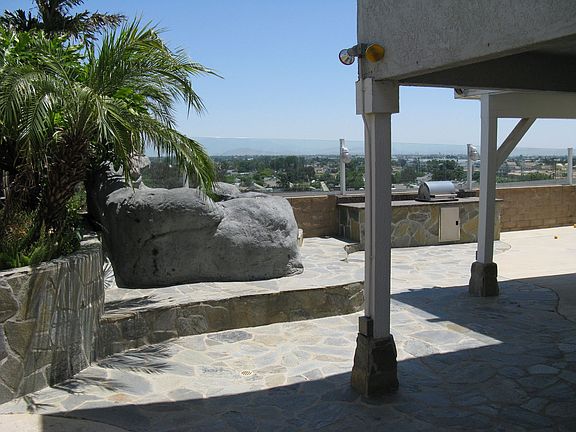 Back View 180 degree