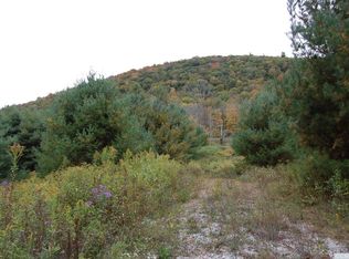 42 Dugway Rd, Spencertown, NY 12165