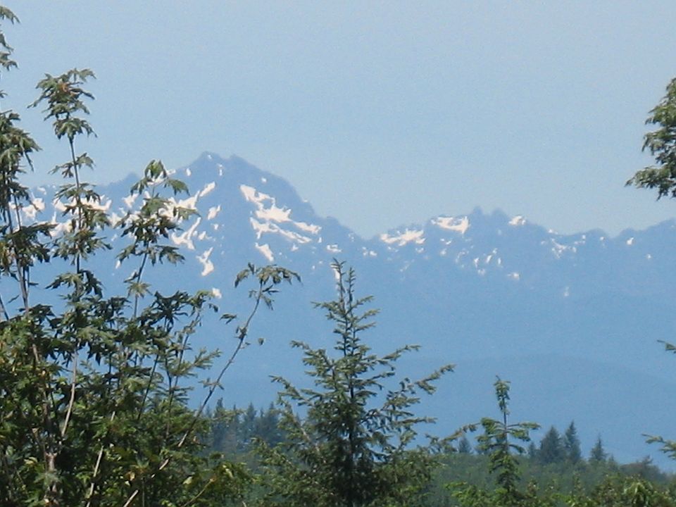1st image of 319 # Kamilche