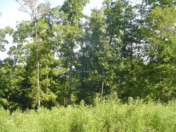 LOT 17 Ironwood Ln, Big Sandy, TN 38221