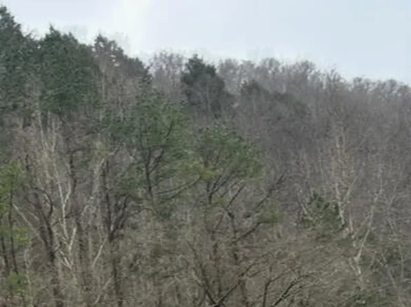 Highway 38, Lejunior, KY 40849