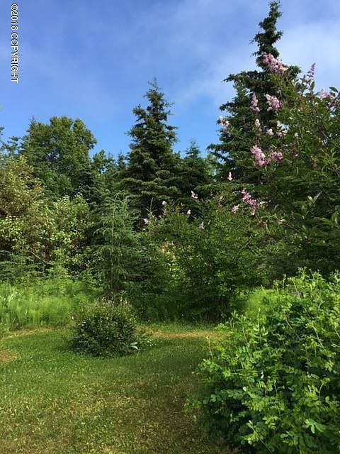 1st image of 204 N Forest Dr