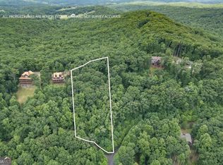 115 Laurel Ln, Blairsville, GA 30512