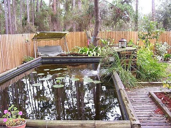 Large Koi pond enclosed yard