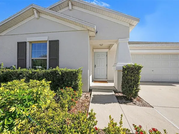 10128 Crested Fringe Dr, Riverview, FL 33578