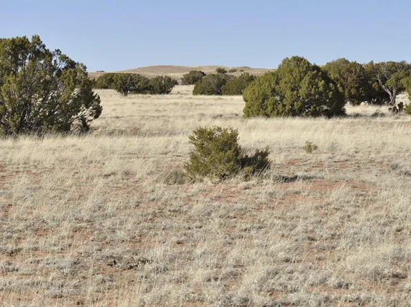 12 County Road 9020, Concho, AZ 85924