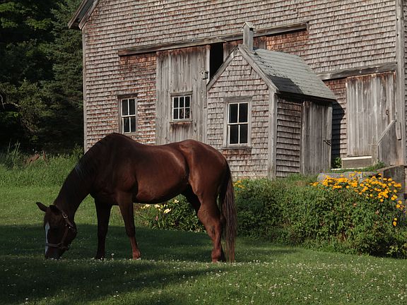 W end barn