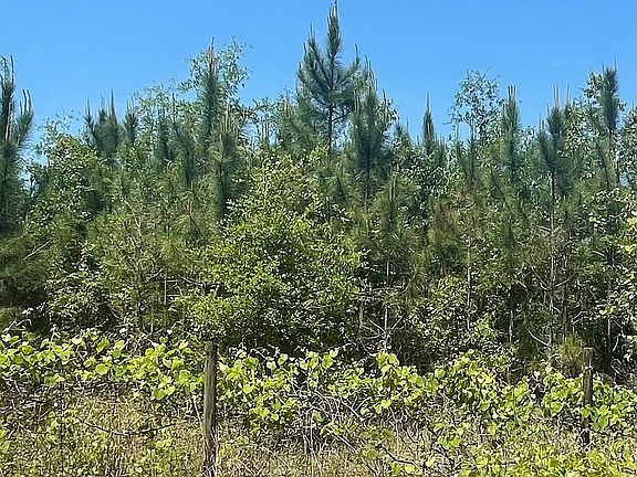 45th road toward 264th St