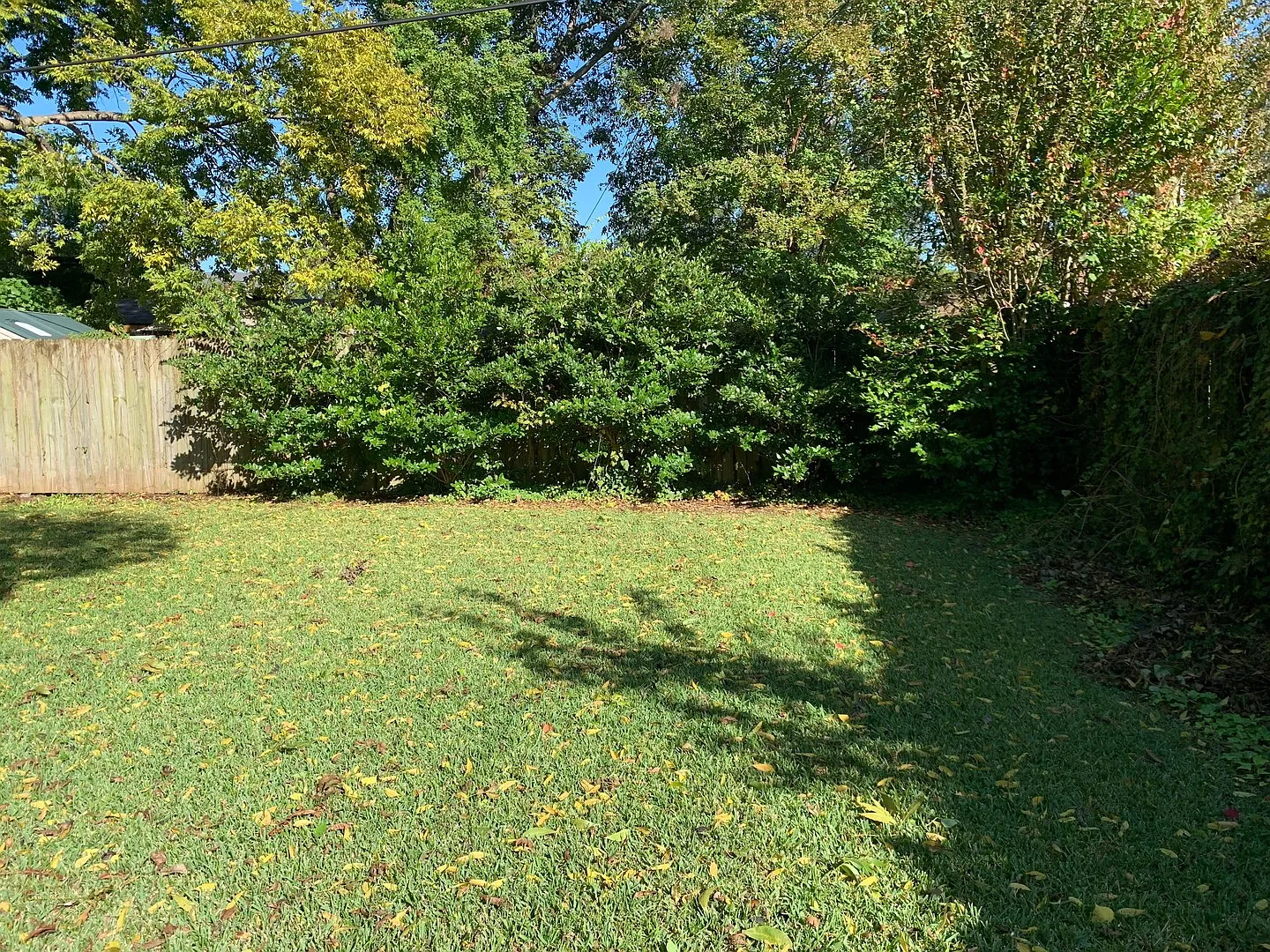 3 Bedroom 2 bathroom — Photo 4