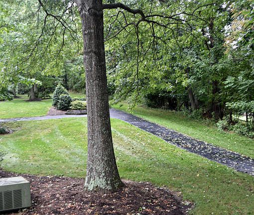 4th image of 204 Woods Edge Ct