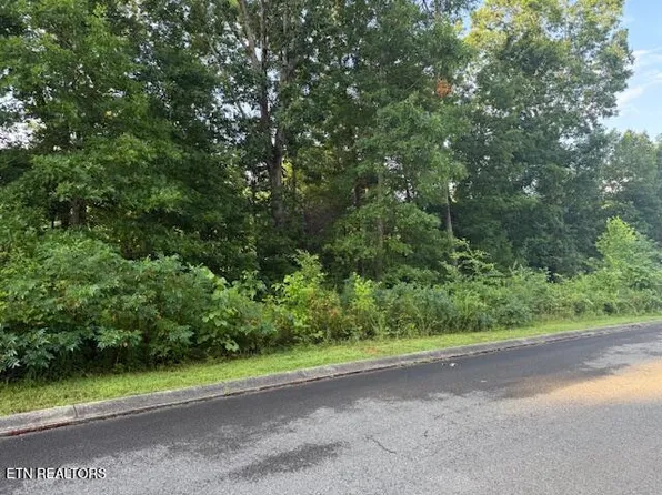 LOT 17 Woodland Creek Dr, Dandridge, TN 37725