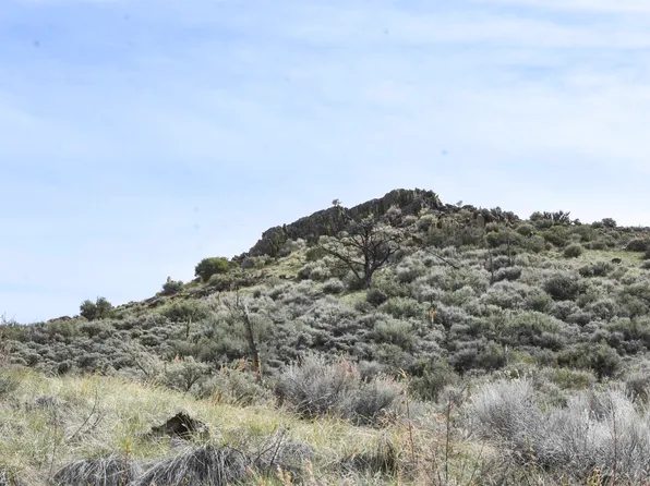 China Springs Rd, Gardnerville, NV 89410