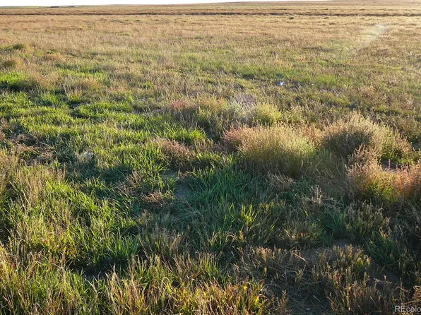 TBD Hwy 52, Wiggins, CO 80654