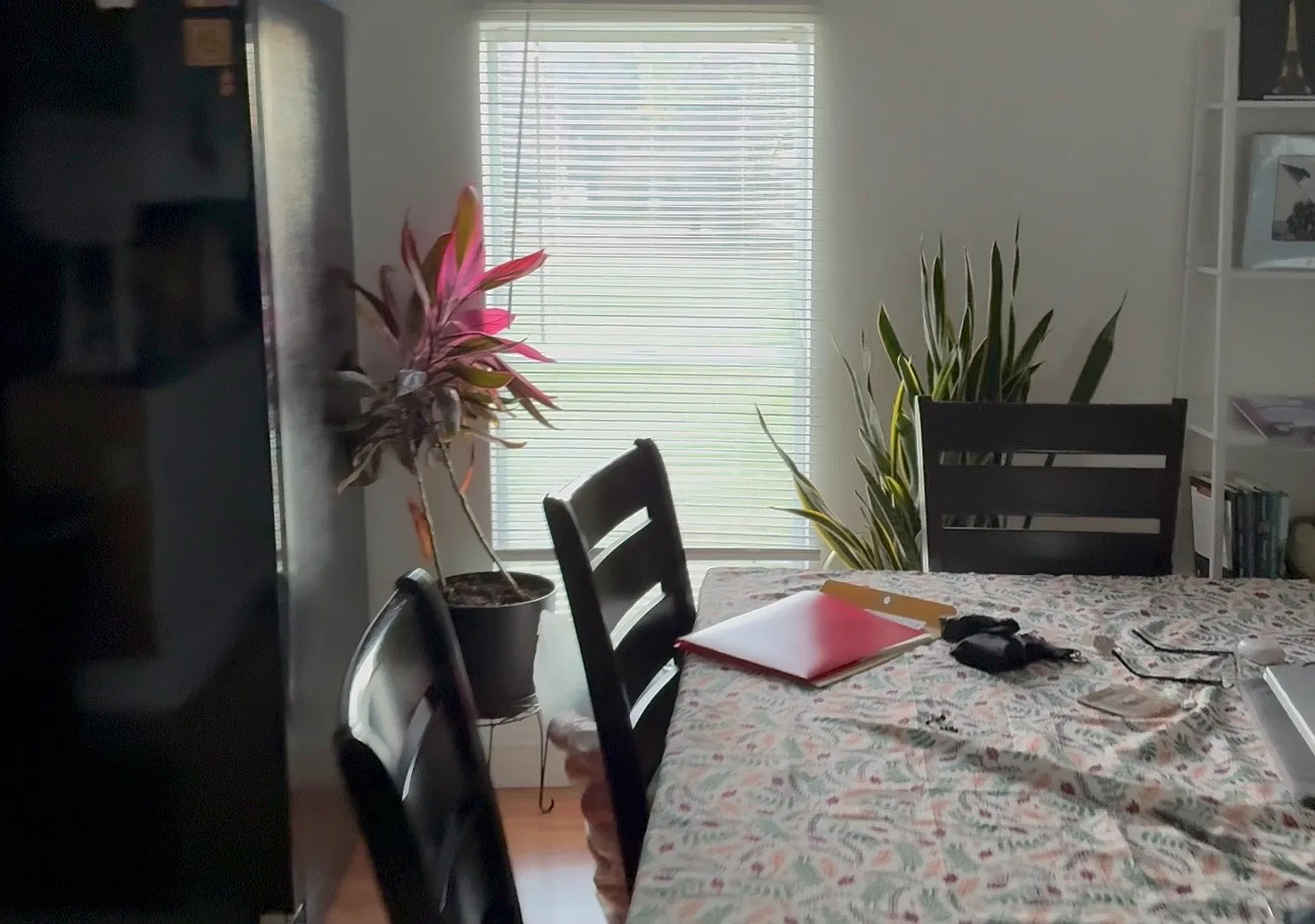 4 bed, 1200 sqft, $1,000 — Photo 1