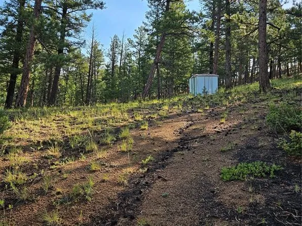 1117 Appleby Dr, Sedalia, CO 80135