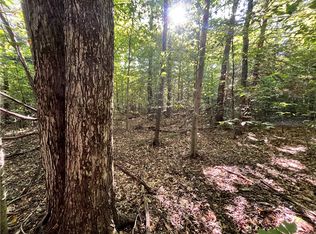 LOT 1 Lockwood Run Rd E LOT 1, Lockwood, NY 14859