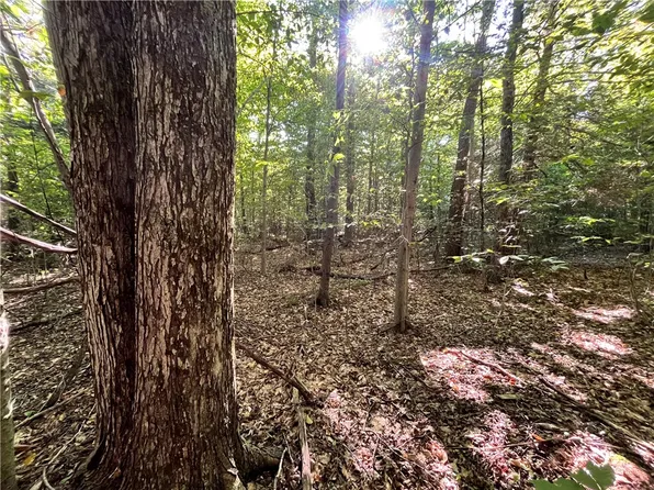 LOT 1 Lockwood Run Rd E Lot 1, Lockwood, NY 14859