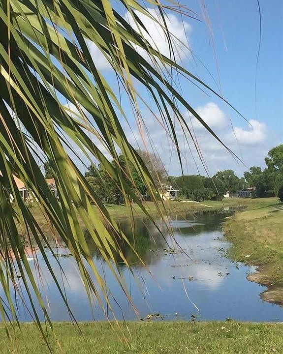 long view of canal as it runs behind 1702 lot