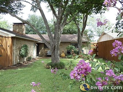 Backyard towards house in Summer