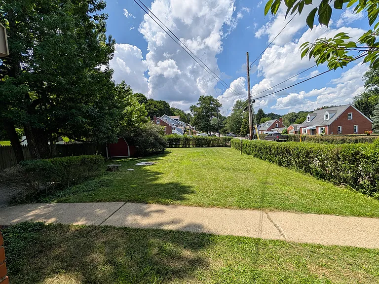 hedged in back yard