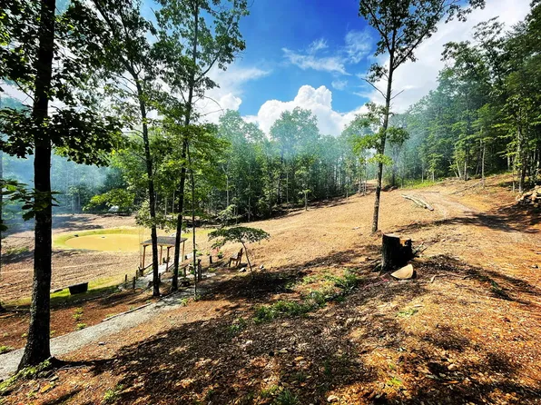 Bee Town Rd, Warm Springs, VA 24484