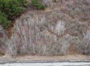 Tyler Hollow Rd LOT 4, Spencer, NY 14883