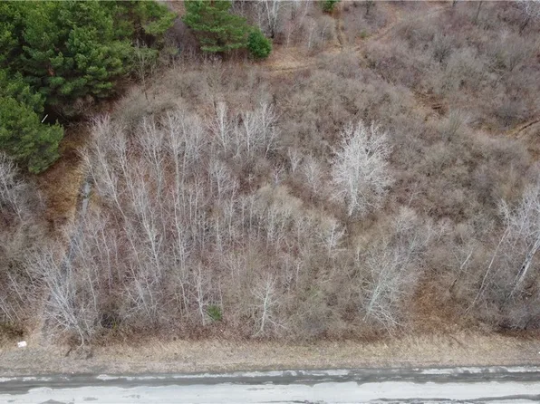 Tyler Hollow Rd Lot 4, Spencer, NY 14883