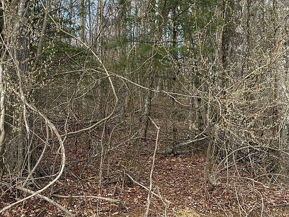 4th image of Corner Miller Lane & Locust Ridge Rd