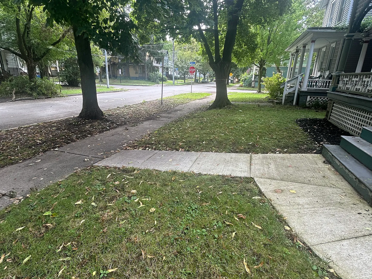 1 bed, 900 sqft, $1,550 — Photo 3