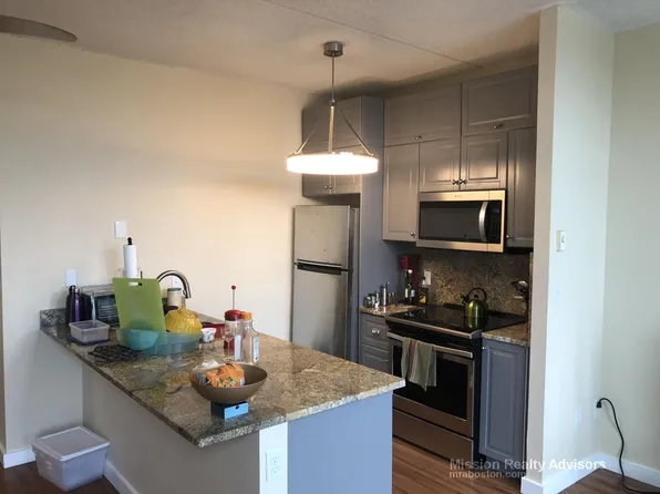35 Ellingwood St, Roxbury, MA 02120