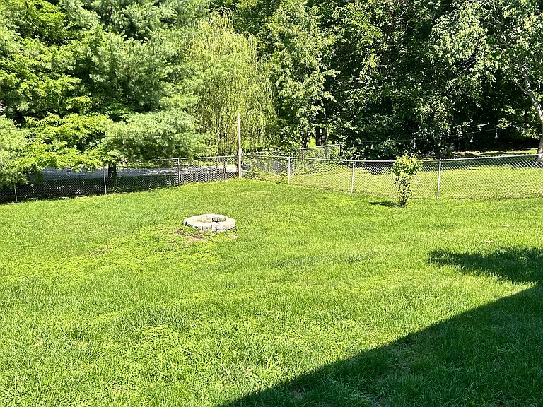 BACKYARD VIEW FROM BACK DOOR