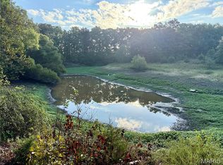 86 Combs Rd, Bellflower, MO 63333