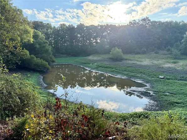 86 Combs Rd, Bellflower, MO 63333