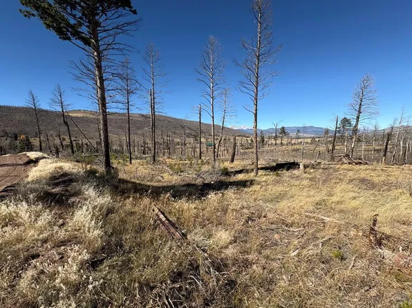 1069 Reed Ln, Fort Garland, CO 81133