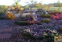 2nd image of 61612 Topaz Dr