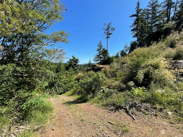 0 Fallingreen Way, Friday Harbor, WA 98250