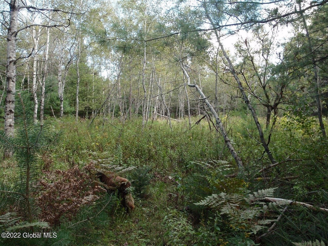 262 State Route 28N, North Creek, NY 12853 MLS 202224349 Zillow