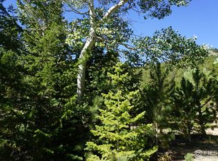 280 Ironclad View Rd, Allenspark, CO 80510