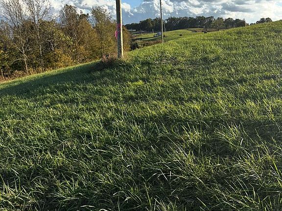 5th image of LOT 2 King Bend Rd